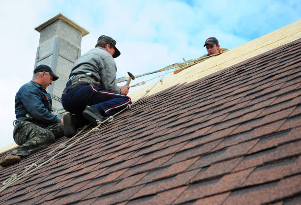 Best Roof Gutter Cleaning  in Yuma, CO